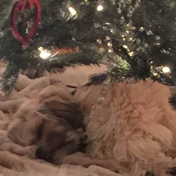 Meet your Posher, Pat - Picture 1 of 1